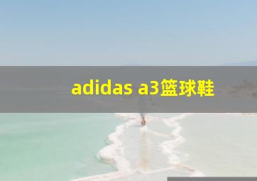 adidas a3篮球鞋